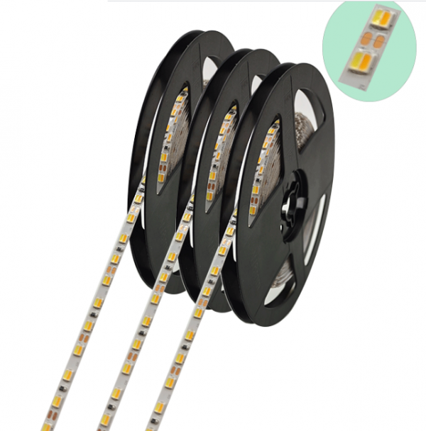 12V 24V 2-wires 2 pin 2 cable dual color CCT tunable white led strip WW+CW bipolarity - Image 3